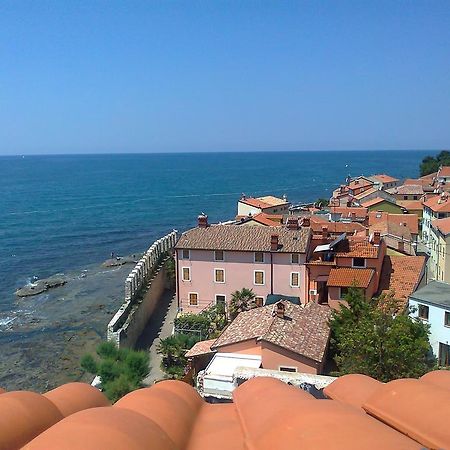 Apartments Edo Novigrad Istria エクステリア 写真